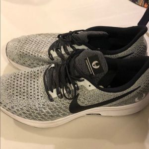 Nike Zoom Pegasus / Oregon Project